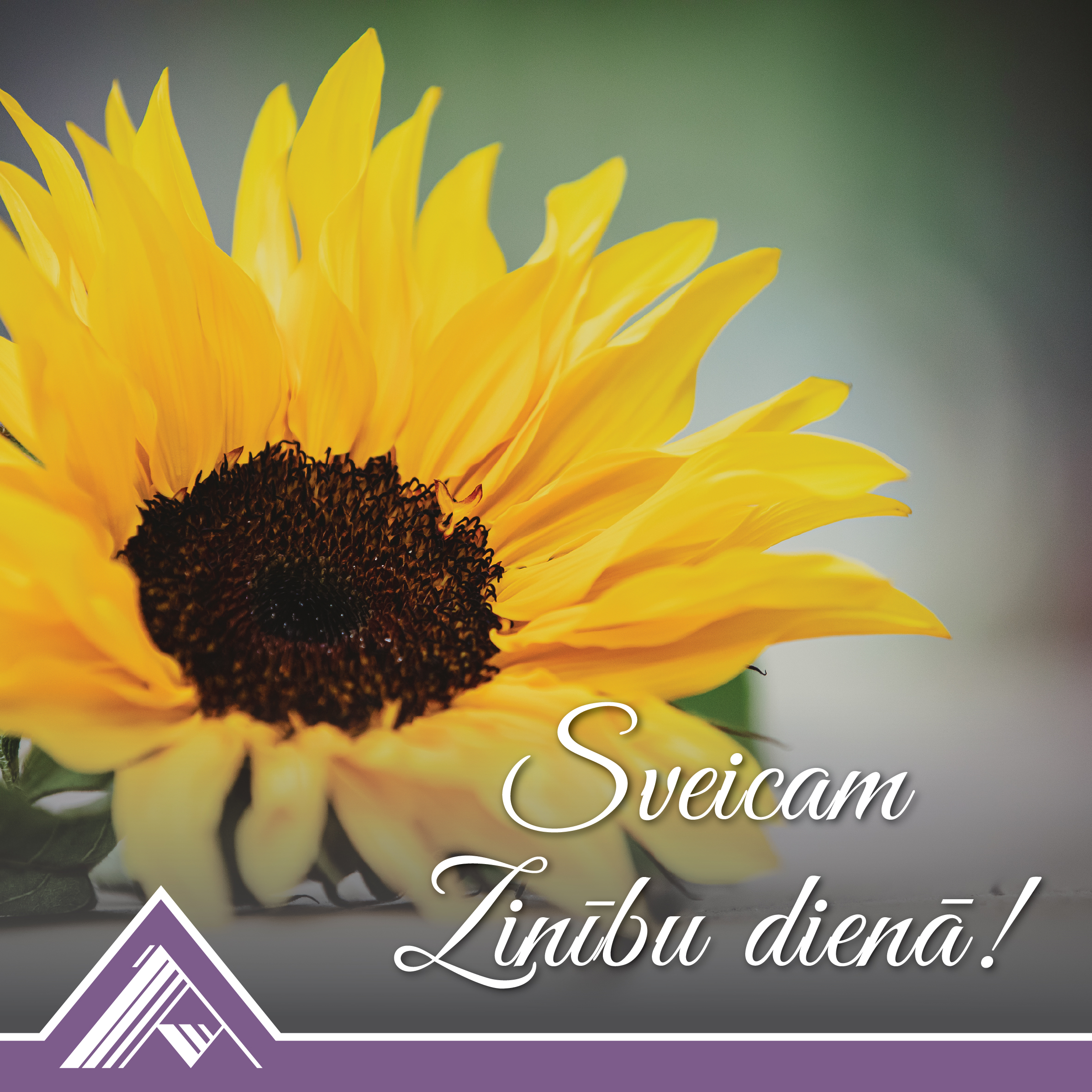 SVEICAM!